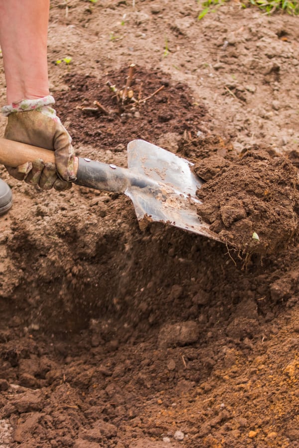 Dirt, Rock, Soil Removal Service In Seattle