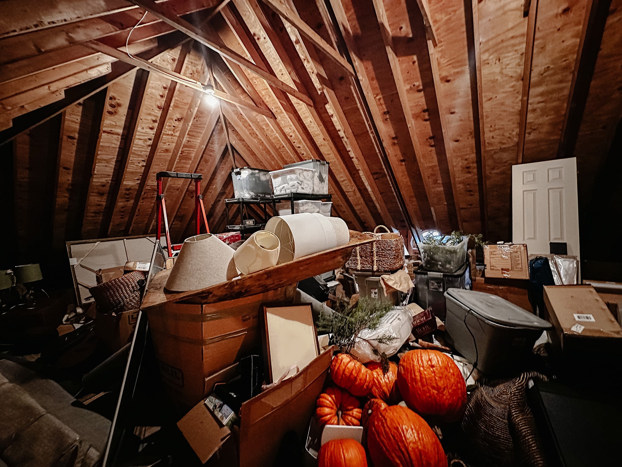 Attic Cleanout Service In Seattle