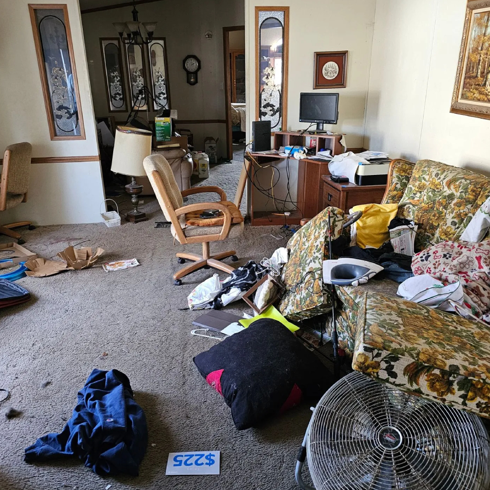 Junk Removal Cleanout Service in Shoreline