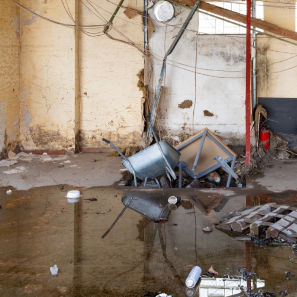 Junk Removal Cleanout Service in Shoreline