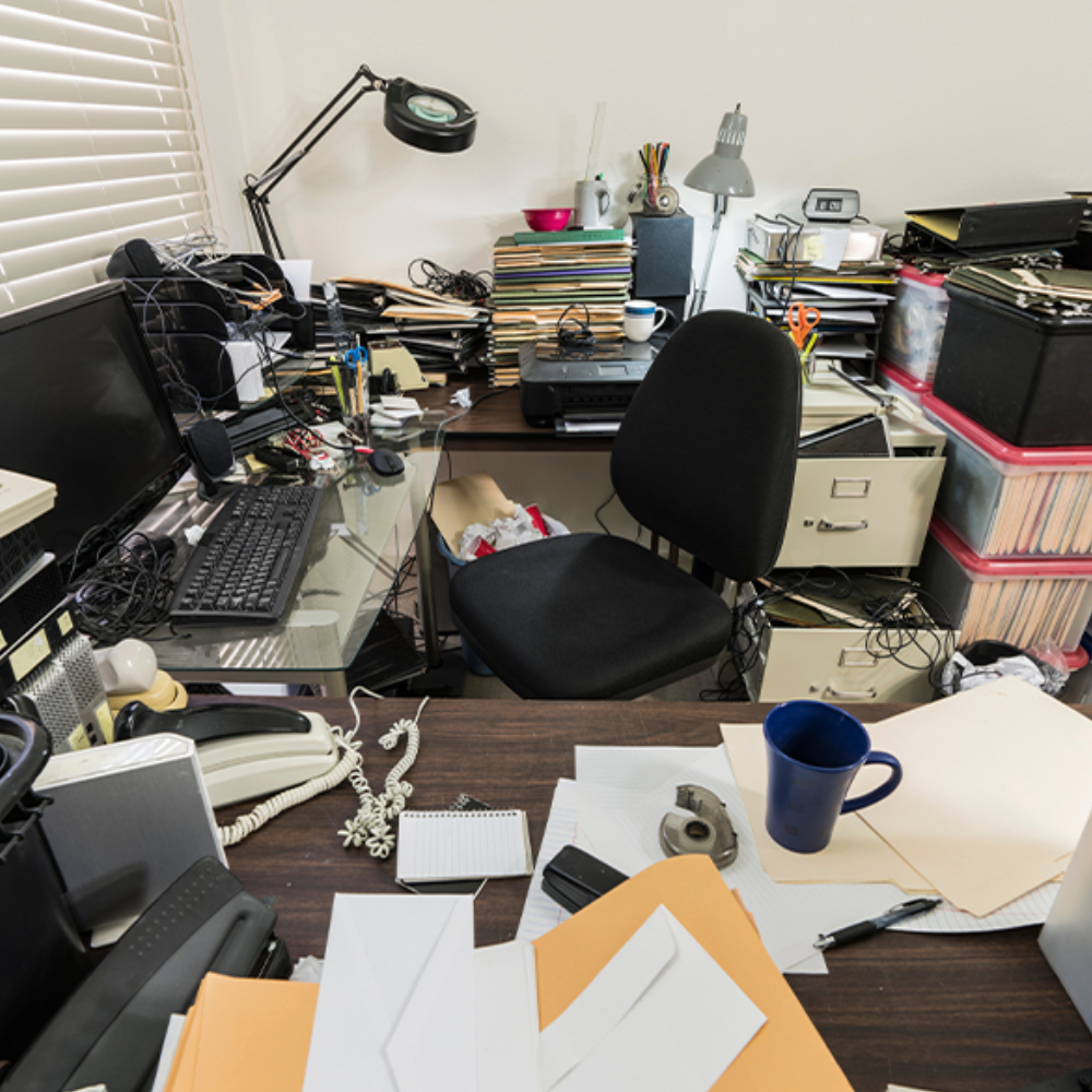 Junk Removal Cleanout Service in Shoreline