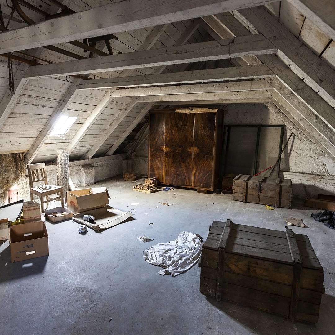 Attic Cleanout Service In Seattle