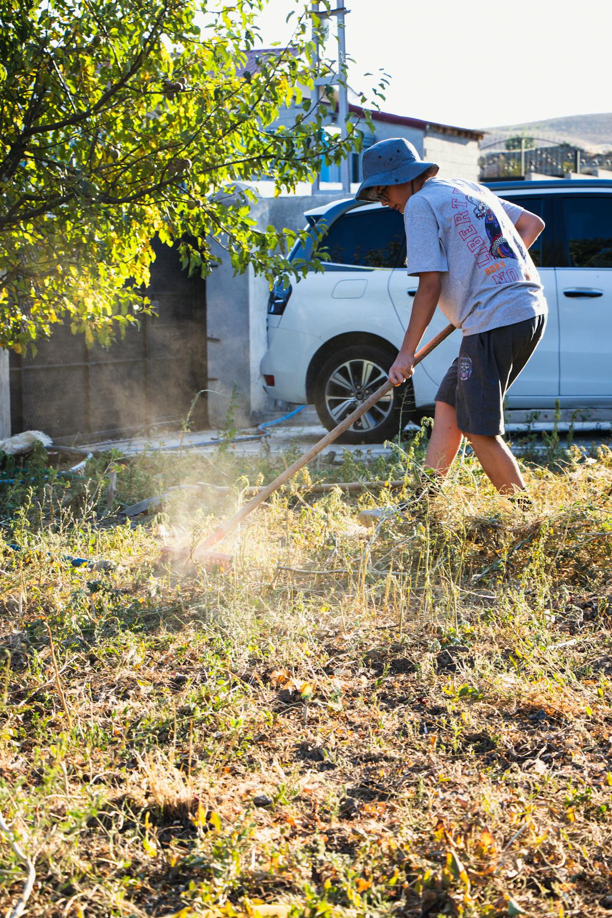 Yard Waste Pickup and Disposal Service In Seattle