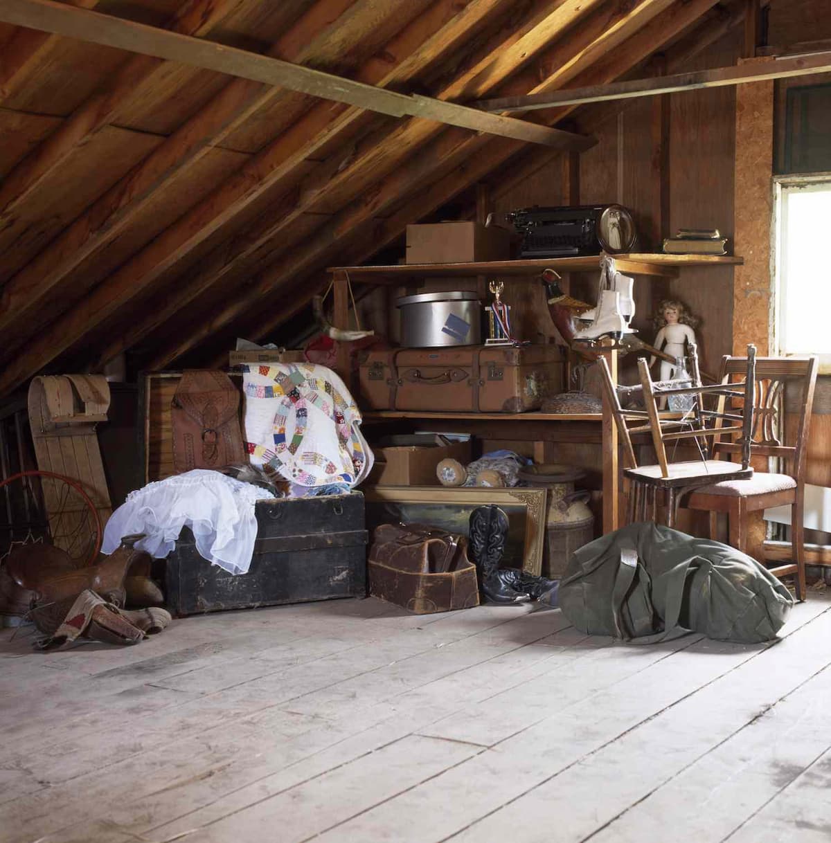 Attic Cleanout Service In Seattle