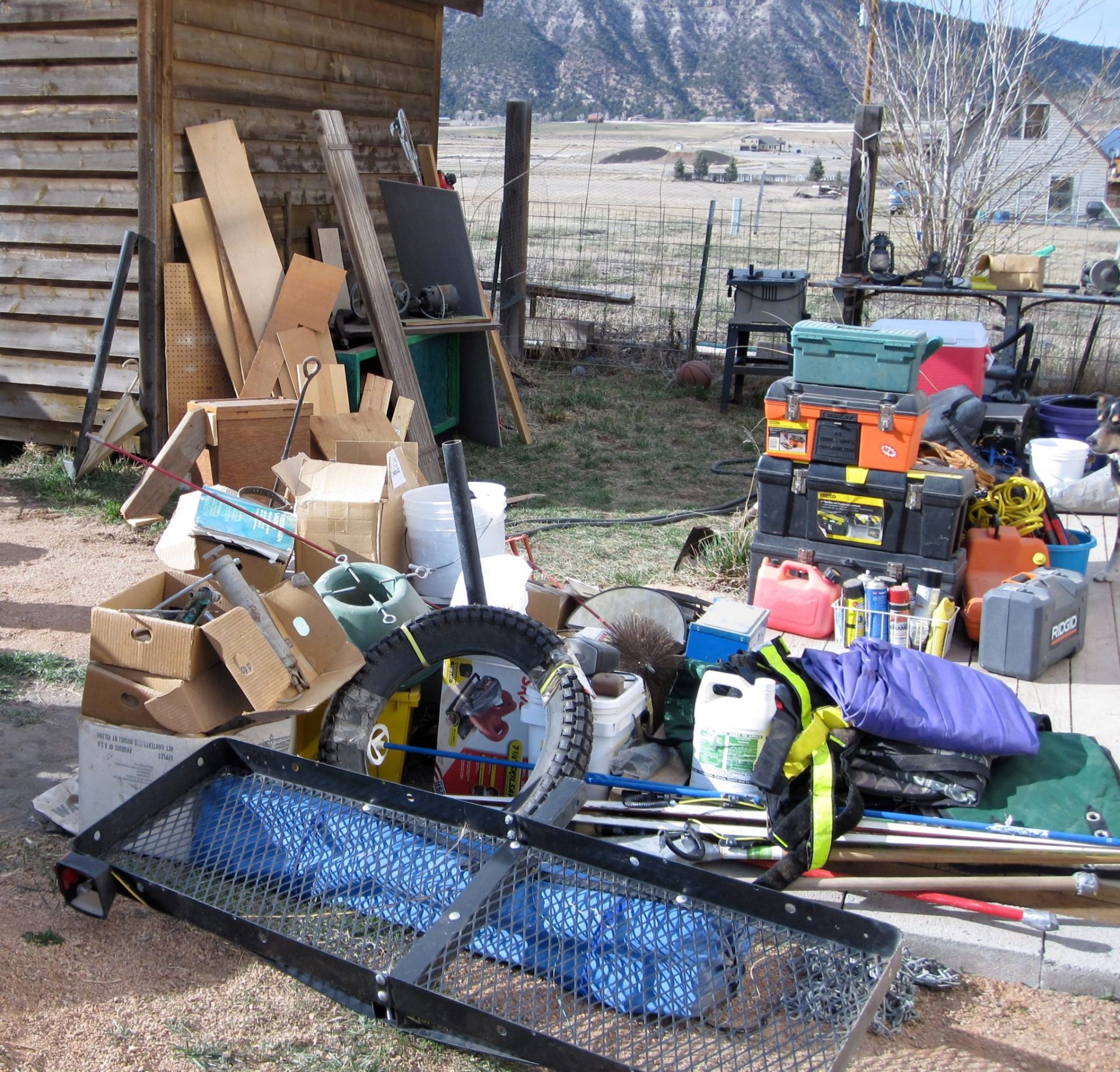 Shed Cleanout Service In Seattle